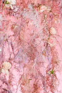 粉红玫瑰背景装饰情人图片