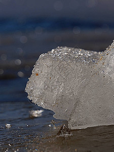 冰川或冰架断裂的淡水冰块上的大冰块图片