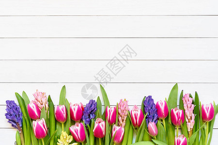白色背景上的粉红色郁金香和风信子花束图片