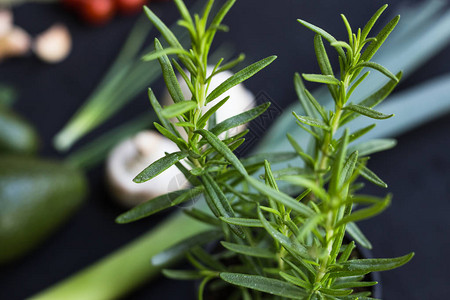 新鲜蔬菜卷菜鳄梨番茄迷迭香图片