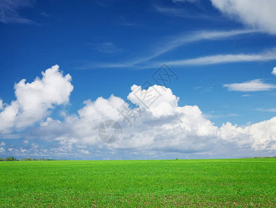 绿草场和蓝天背景图片