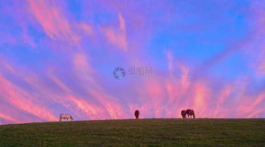 与五颜六色的云彩放牧的马图片