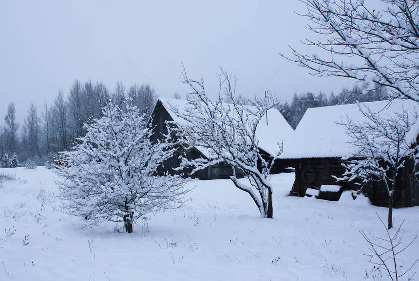 东欧冬季风景与建图片