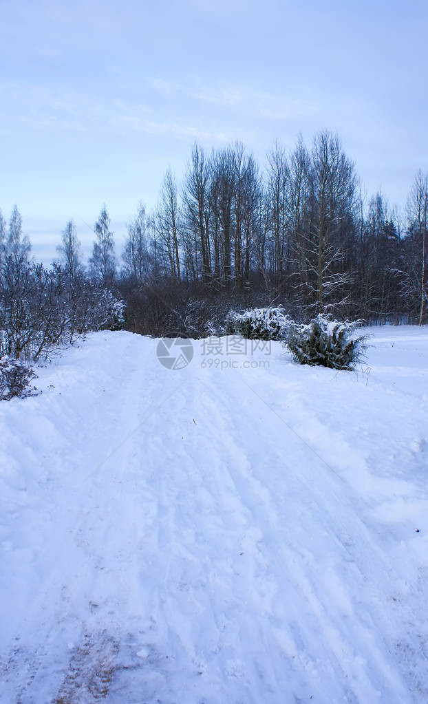 乡村的冬季景观图片