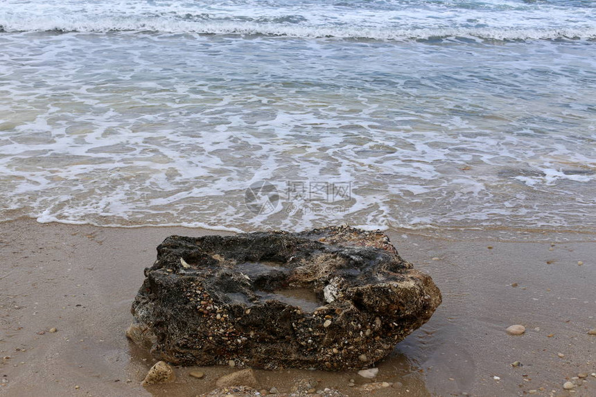 以色列北部地中海沿岸的石头和贝壳图片
