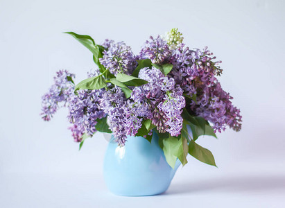 蓝陶瓷花瓶中的香紫花束很漂亮图片