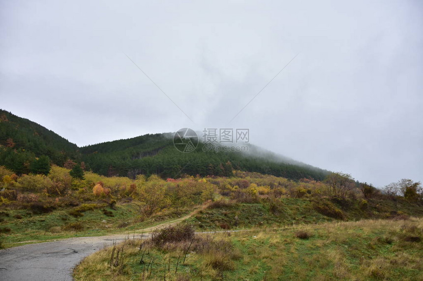 夏天美丽的风景图片