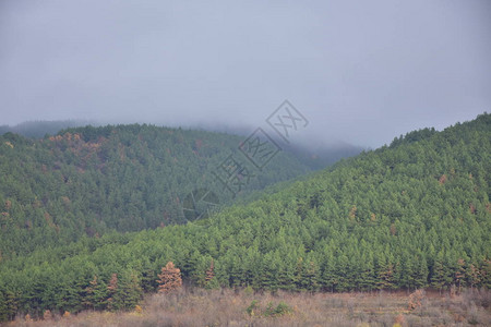 夏天美丽的风景图片