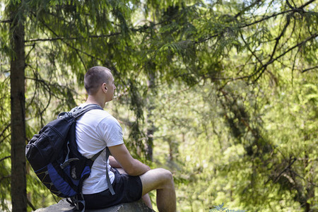 背着包的年轻人坐在摇摆森林中的岩石图片