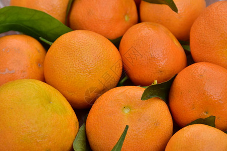 橘子水果和橙子图片