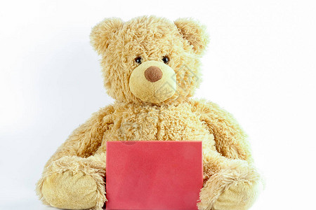 泰迪熊用白色的红图片