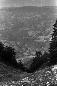 1965年左右南斯拉夫的景观山坡森林天空夏天图片