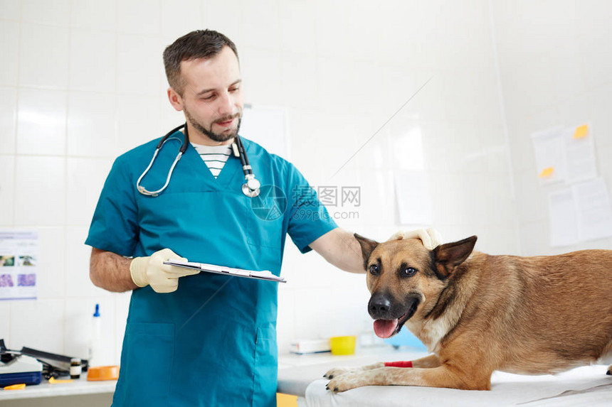 检查后在医疗桌上抱着病狗的兽医文图片