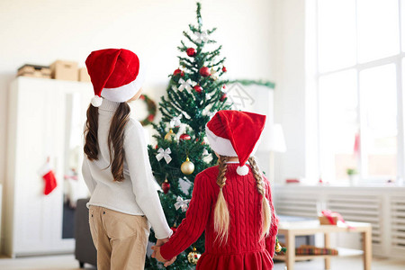 两个穿着毛衣和圣诞老人帽的兄弟姐妹在看着圣诞树时手牵图片