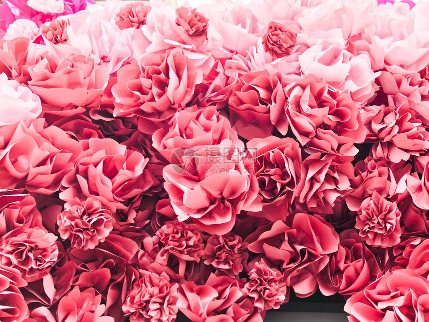 红色粉红色美丽的天然鲜花玫瑰花瓣的花朵图片