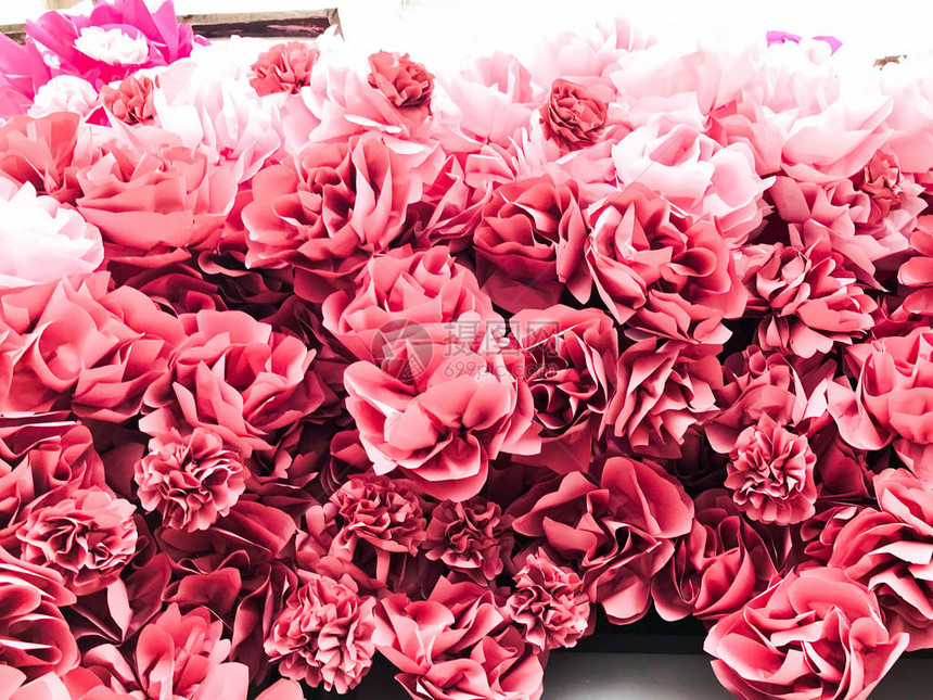 红色粉红色美丽的天然鲜花玫瑰花瓣的花朵图片