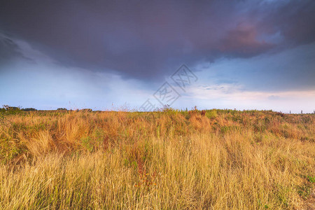 经过长期干旱之后第一次暴雨在干草地背景图片
