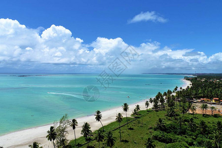 巴西梦幻般的风景很棒的海滩风景天堂海滩与水晶梦想图片