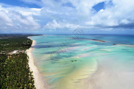 巴西梦幻般的风景很棒的海滩风景天堂海滩与水晶梦想图片