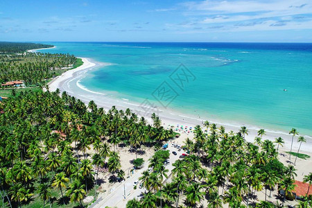 巴西阿拉戈斯圣米格尔杜斯米拉格雷斯海滩的鸟瞰图图片
