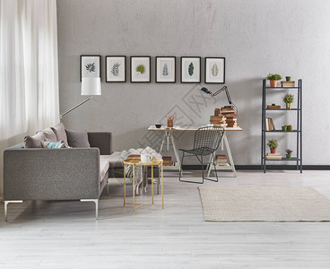 灰色起居室灰色家具沙发和室内现代家庭装饰图片