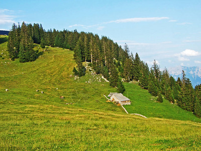 Alpstein山脉坡和Thur河谷的乡村传统建筑和牲畜农场图片
