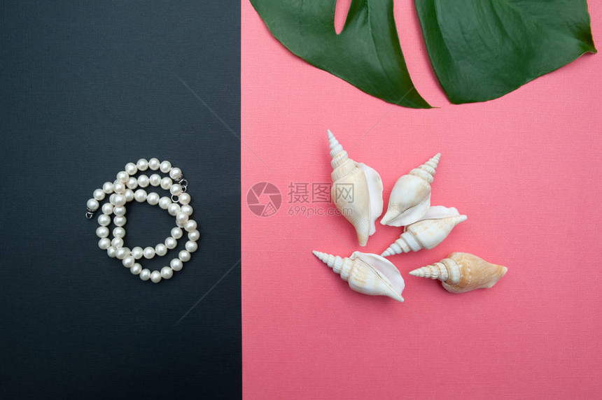 珍珠的首饰和珠宝珍珠和贝壳的精美构成珊瑚颜色背图片