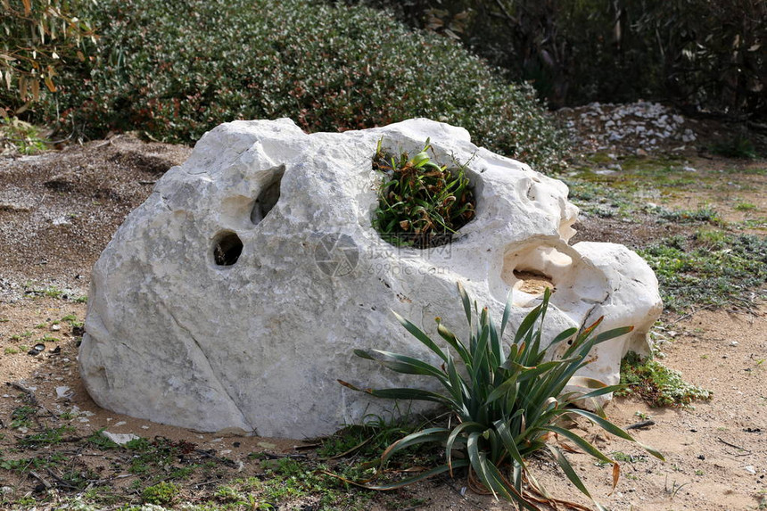 以色列北部旧城公园的石块位图片