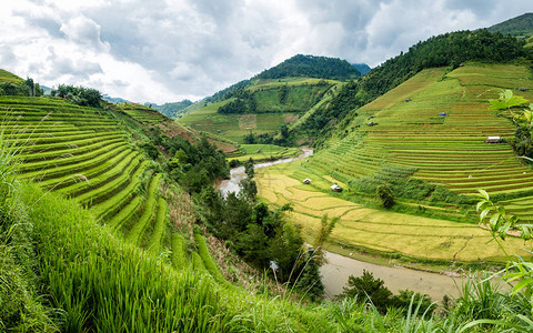 越南MuCangChaiYenBai的稻田梯图片