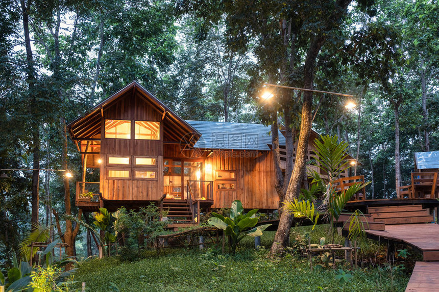 雨林中带照明的建筑木屋图片