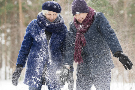 在冬季森林中玩雪的无忧虑的图片