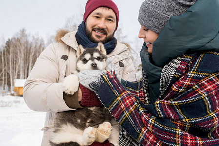 幸福的现代夫妇在冬天在户外玩可爱的哈士奇小狗的腰部肖像图片