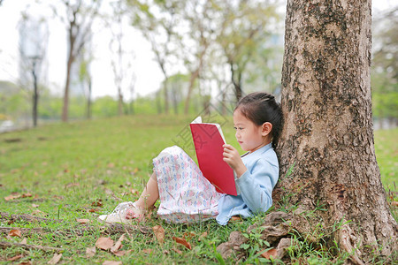 可爱的小女孩在夏日公园看书在户外靠着夏图片