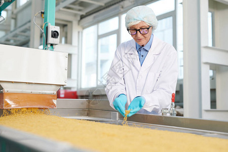 在工厂作并检查通心粉传送带复制空间的食品生产的高级妇女的图片