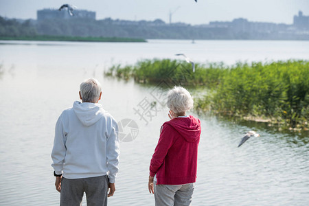 活老年夫妇在湖边站立观看行走中的鸟群复制空间图片