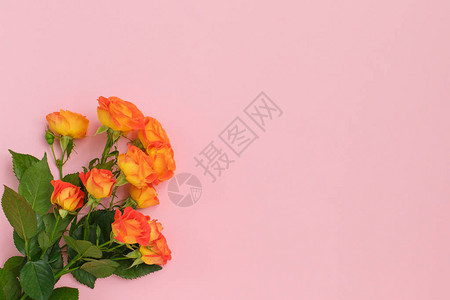一束美丽鲜活的橙色玫瑰的背景图片