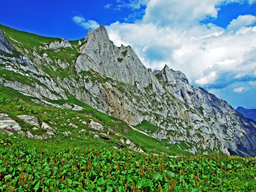 瑞士阿彭策尔内纳罗霍登州阿尔普斯坦山脉Fhlen图片