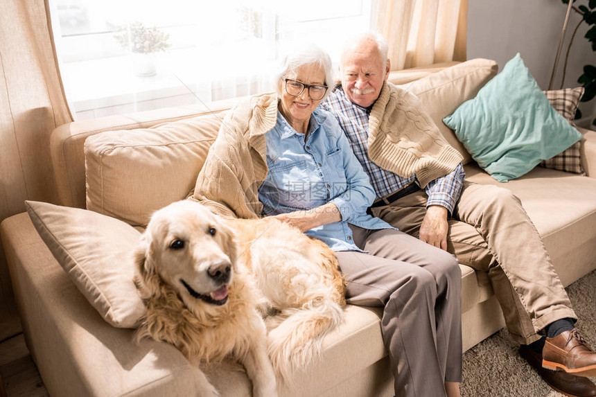 快乐的老年夫妇与狗一起坐在沙发上图片