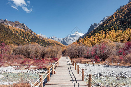 在Yading自然保护区山谷带木道的图片