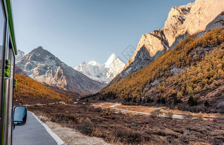 Yading自然保护区山峰秋季山谷的Yangmai图片