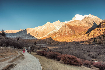 在Yading高原的秋林和山脉日落中图片