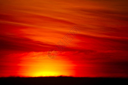 热带和橙色天空中模糊的日落图片