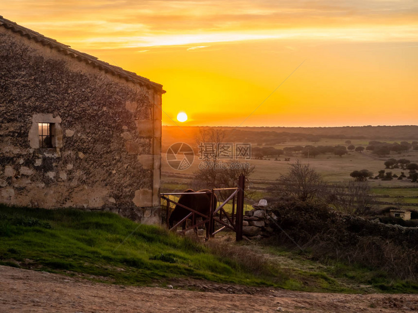 日落时在西班牙草地上的农场上骑图片
