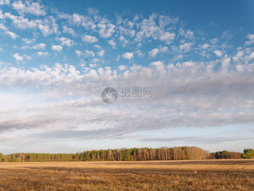 春天的开始云在田野上空飘荡图片