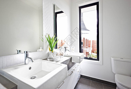 白色洗手间水槽和镜子靠近一个绿色植物图片
