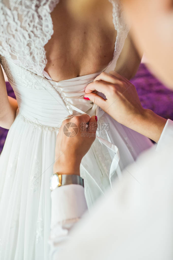 将新娘的婚纱酒店内衣紫色背景绑在图片
