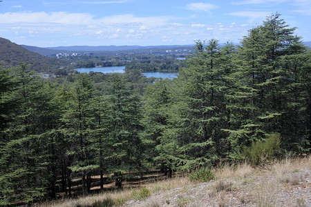 天界堪培拉澳大利亚首都直辖区全国Arboretum的喜马拉雅背景