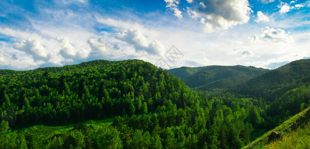 青山远黛夏季景观壮丽的青山和森林与不同的树木映衬着蓝天俄罗斯西伯利亚自然壁纸全景复制空间文本背景