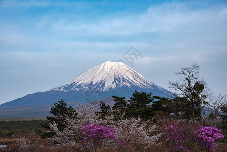 富士山或富士山图片