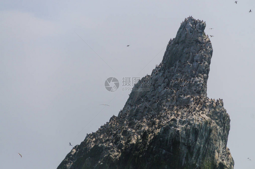 ShagRocks是南乔治亚州最西部的六个无人居住的小岛它们以南乔治亚帝国鸬鹚命名图片